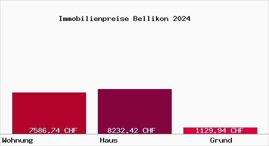 Immobilienpreise Bellikon